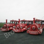 Big Outdoor Factory - Big Outdoor Electric Tourist Train for Passengers
