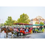 Sightseeing Cart Supplier - Sightseeing Cart for Sale Luxury Electric