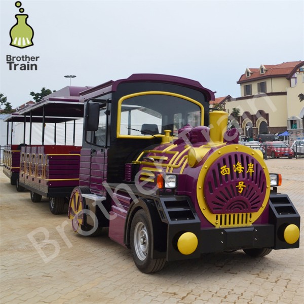 High Quality Factory - High Quality Electric Passenger Train Big