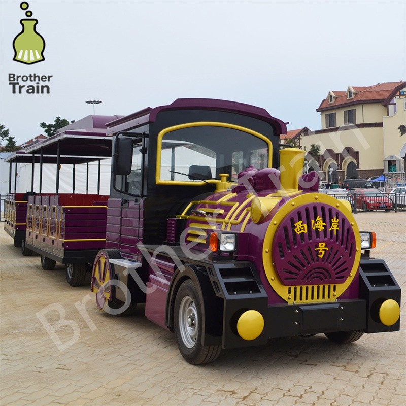 High Quality Factory - High Quality Electric Passenger Train Big