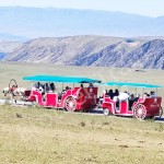 Royal Carriage Manufacturer - Luxury Royal Horse Drawn Carriage