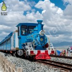 Passenger Track Factory - More 200 Passenger Track Train Amusement