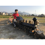 Amusement Track Supplier - 2020 Popular Amusement Track Ride Train