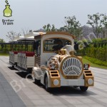 Big Amusement Supplier - Big Amusement Park Rides Tourist Train