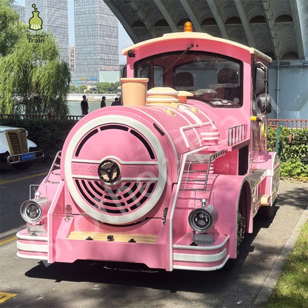 Large Capacity Supplier - Large Capacity Battery Tourist Trains Trackless