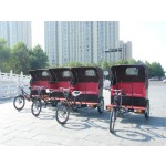 Rickshaw Cart Manufacturer - Human-Powered Two-Wheeled Street Show