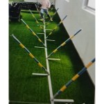 Dog Training Weave Pole Supplier - 180degree PVC Rotating Slalom