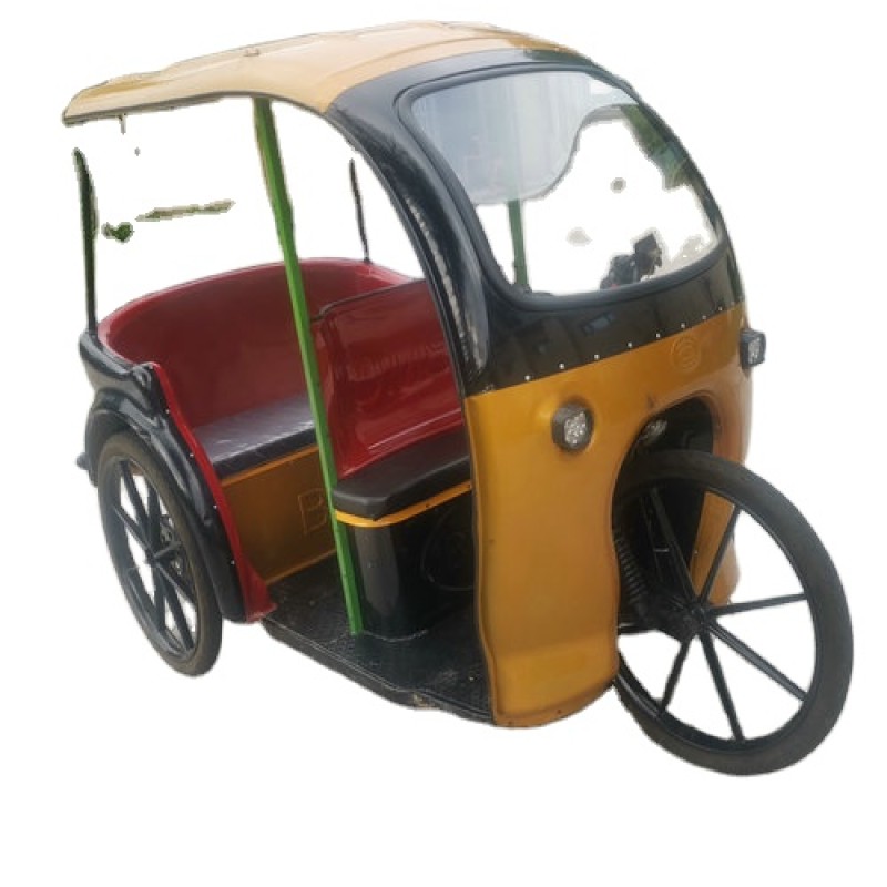 Electric Rickshaw Supplier - Tourism Passenger Tricycle Cart