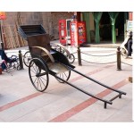 Rickshaw Cart Manufacturer - Human-Powered Two-Wheeled Street Show