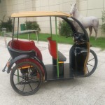 Electric Rickshaw Supplier - Tourism Passenger Tricycle Cart