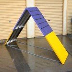 Dog Agility Ramp Manufacturer - 9FT Outdoor A-FRAME Training