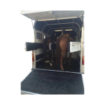 Horse Trailer Factory - Customizable 2 Horse Straight Load