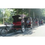 Rickshaw Cart Manufacturer - Human-Powered Two-Wheeled Street Show