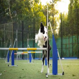 Dog Training Hurdle Factory - Durable Single-Pole Folded Jump