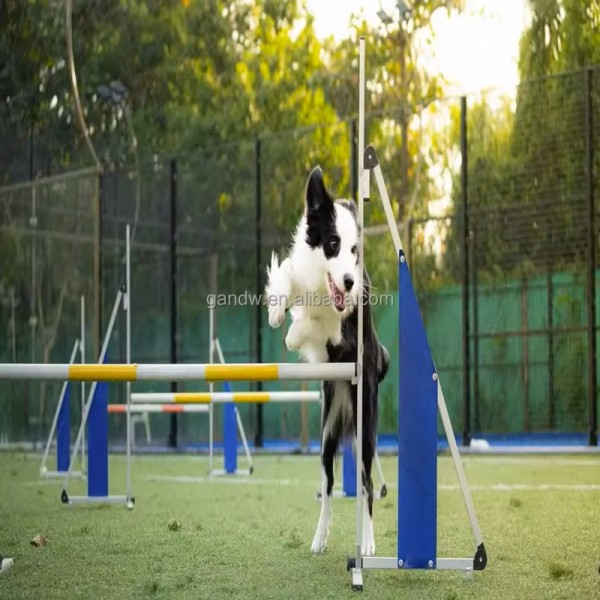 Dog Training Hurdle Factory - Durable Single-Pole Folded Jump