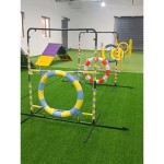 Dog Agility Hoop Manufacturer - FCI Professional Plastic Tire Jump