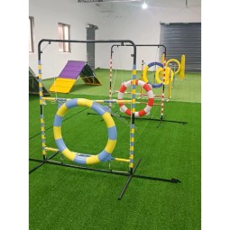 Dog Agility Hoop Manufacturer - FCI Professional Plastic Tire Jump