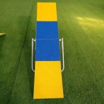 Dog Agility Seesaw Supplier - 2in1 Folded FCI Professional