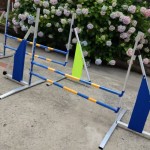 Dog Agility Hurdle Supplier - Outdoor Aluminum Detachable Jump