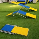 Dog Agility Seesaw Supplier - 2in1 Folded FCI Professional