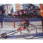Rickshaw Cart Manufacturer - Human-Powered Two-Wheeled Street Show