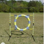 Dog Agility Hoop Manufacturer - FCI Professional Plastic Tire Jump