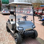 Europe Golf Cart Supplier - Fashional Lithium Battery CE