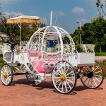 Pumpkin Carriage Factory - Iron Hollow Decorable Design