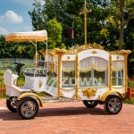 Funeral Carriage Supplier - Customized Electric Ice Coffin