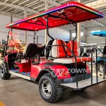 Golf Buggy Manufacturer - 2024 Pure Electric Red