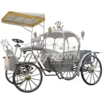 Sightseeing Carriage Supplier - Latest Designed Royal