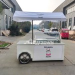 Ice Cream Cart Factory - New Style Snow Cone Truck
