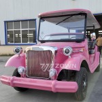 Golf Car Supplier - Professional Sightseeing Mobility