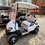 Electric Golf Cart Factory - Off-road Hunting Lithium