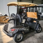 Golf Car Factory - Hot Sales Competitive Price 2024
