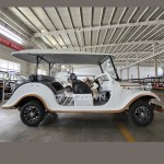 Electric Golf Cart Manufacturer - Quality Assurance Europe