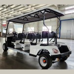Golf Buggy Supplier - Best Quality Wholesale Price