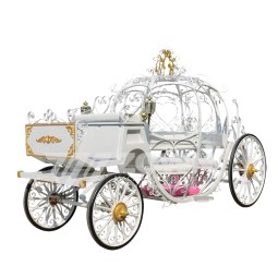Horse Carriage Manufacturer - White Holy Pumpkin Wedding