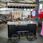 Hand Push Cart Manufacturer - Freezer for Ice Cream Customized