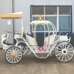 Pumpkin Carriage Manufacturer - Manufacturer Customized White