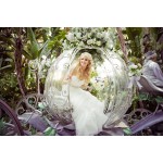 Cinderella Carriage Supplier - Dream Pumpkin Carriage Design