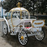 Pumpkin Carriage Manufacturer - Manufacturer Customized White