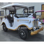 Golf Cart Manufacturer - High Quality 48V Elegant Vacation