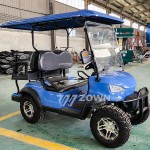 Golf Cart Manufacturer - New Fashion 3 Rows 6 Passengers