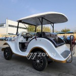 Vintage Electric Car Supplier - Most Popular 8 Passenger