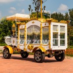Funeral Carriage Supplier - Customized Electric Ice Coffin