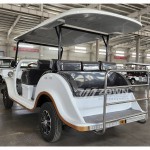 Electric Golf Cart Manufacturer - Quality Assurance Europe