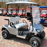 Europe Golf Cart Supplier - Fashional Lithium Battery CE