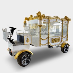 Funeral Carriage Supplier - Customized Electric Ice Coffin