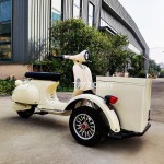 Mobile Food Cart Supplier - Factory Customize Traditional